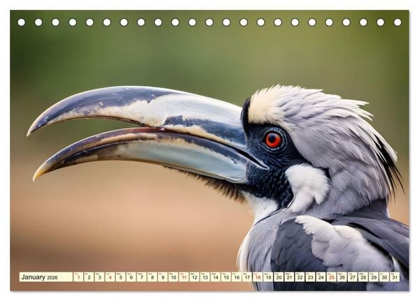Produktbild: Africa's diverse birdlife (Desk Calendar 2026 DIN A5 landscape), CALVENDO 12 Month DeskCalendar