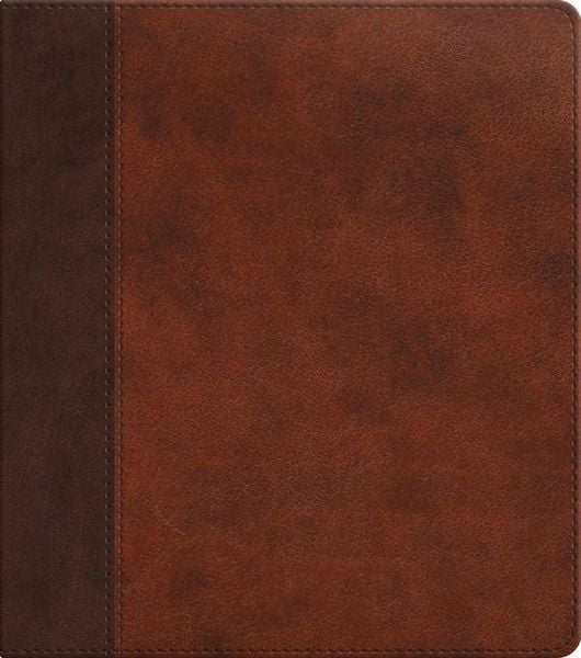 Produktbild: ESV Journaling Study Bible (Trutone, Brown/Chestnut, Timeless Design)