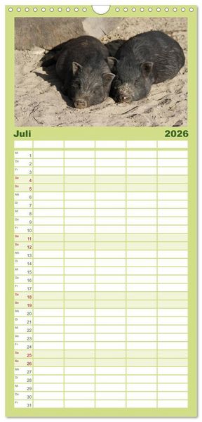 Produktbild: Familienplaner 2026 - Schwein gehabt! mit 5 Spalten (Wandkalender, 21 x 45 cm) CALVENDO