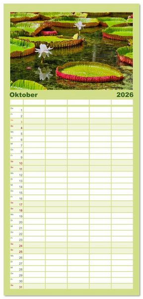 Produktbild: Familienplaner 2026 - Mauritius - Sch&ouml;nheit im Indischen Ozean mit 5 Spalten (Wandkalender, 21 x 45 cm) CALVENDO
