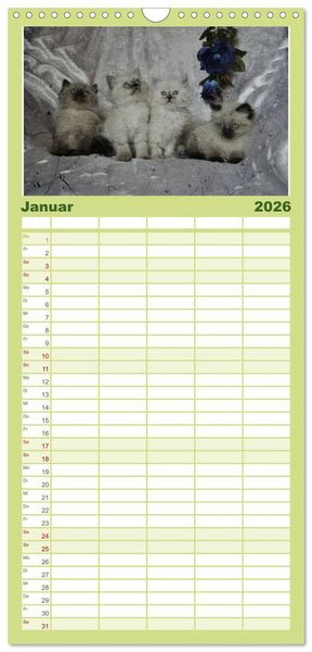 Produktbild: Familienplaner 2026 - Oma's Katzenkalender 2026 mit 5 Spalten (Wandkalender, 21 x 45 cm) CALVENDO