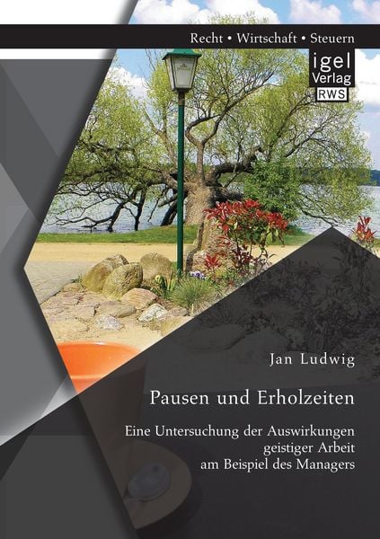 Pausen und Erholzeiten: Eine Untersuchung der Auswirkungen geistiger Arbeit am Beispiel des Managers, Taschenbuch von Jan Ludwig, Igel Verlag RWS,