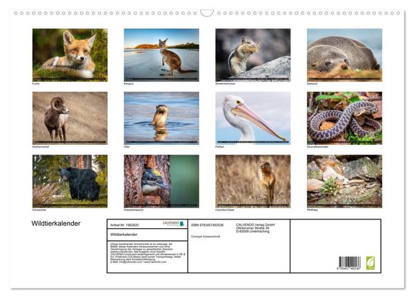 Produktbild: Wildtierkalender (Wandkalender 2026 DIN A2 quer), CALVENDO Monatskalender