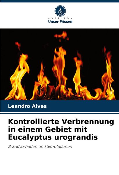 Produktbild: Kontrollierte Verbrennung in einem Gebiet mit Eucalyptus urograndis