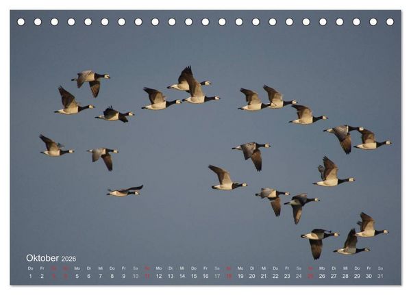 Produktbild: Anblicke und Ausblicke auf Fischland Dar&szlig; (Tischkalender 2026 DIN A5 quer), CALVENDO Monatskalender