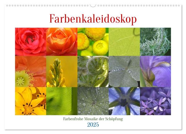 Farbenkaleidoskop (Wandkalender 2025 DIN A2 quer), CALVENDO Monatskalender