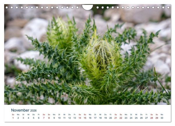 Produktbild: Die Dolomiten - Wanderung durch den Naturpark Schlern-Rosengarten (Wandkalender 2026 DIN A4 quer), CALVENDO Monatskalender
