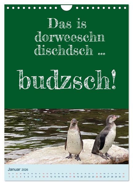 Produktbild: Ni schw&auml;bborn! Mundart und Dialekt Kalender Sachsen (Wandkalender 2026 DIN A4 hoch), CALVENDO Monatskalender