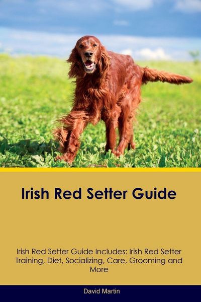 Produktbild: Irish Red Setter Guide Irish Red Setter Guide Includes