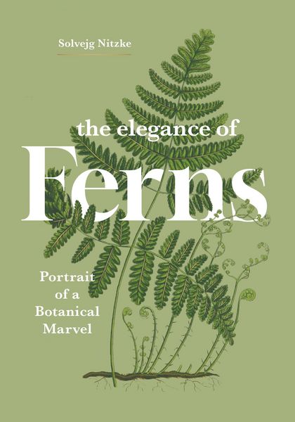 Produktbild: The Elegance of Ferns