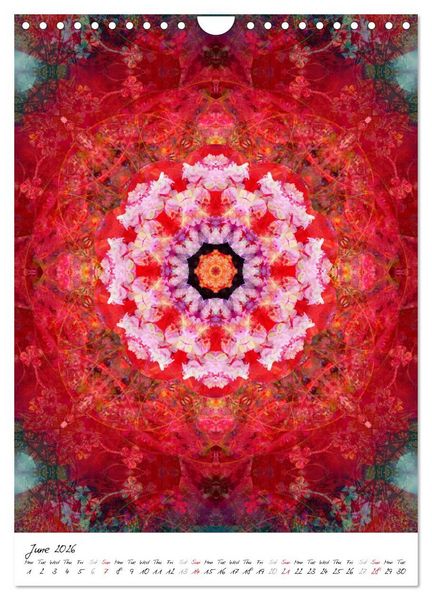Produktbild: MANDALA COMPOSITIONS (Wall Calendar 2026 DIN A4 portrait), CALVENDO 12 Month Wall Calendar