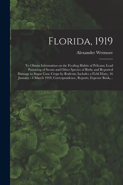 Produktbild: Florida, 1919