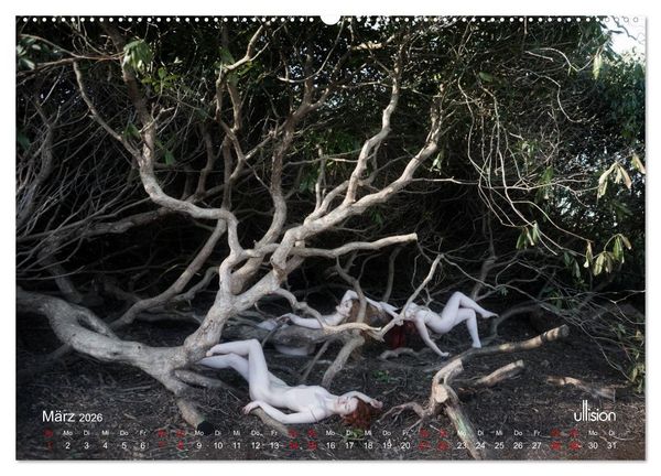 Produktbild: Poesie der Stille &ndash; Akt in der Natur (Wandkalender 2026 DIN A2 quer), CALVENDO Monatskalender