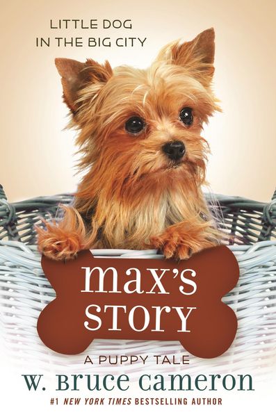 Produktbild: Max's Story