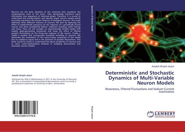 Produktbild: Deterministic and Stochastic Dynamics of Multi-Variable Neuron Models