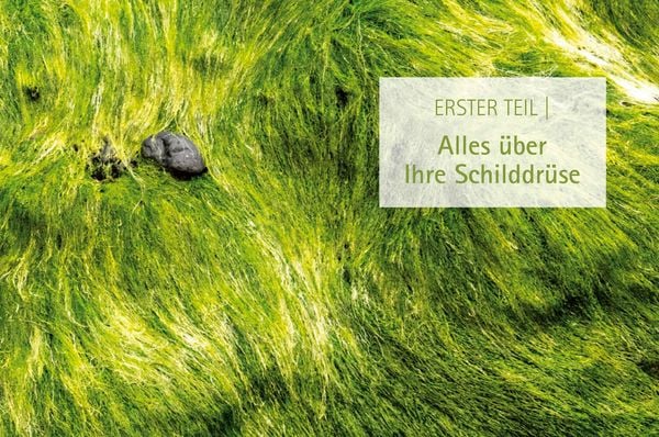 Produktbild: Heile deine Schilddr&uuml;se