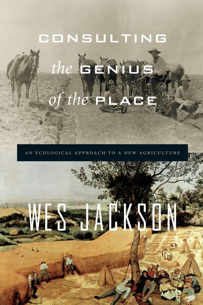 Produktbild: Consulting the Genius of the Place
