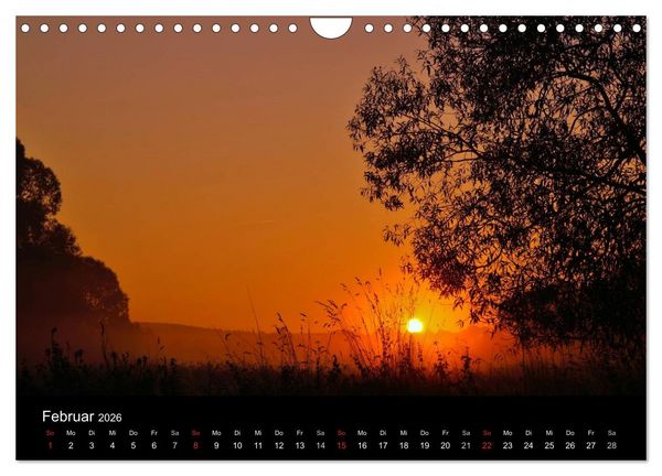 Produktbild: Faszination Wald. Waldimpressionen aus Nordhessen von Lutz Klapp (Wandkalender 2026 DIN A4 quer), CALVENDO Monatskalender