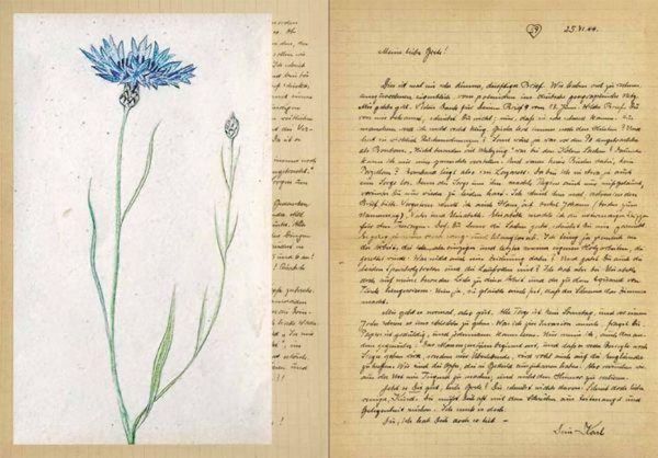 Produktbild: love letters from the war