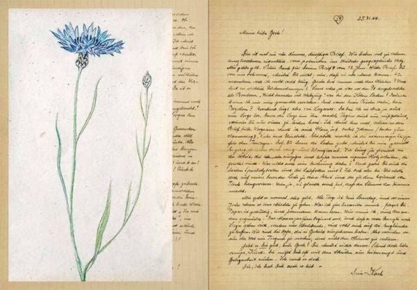 Produktbild: Love letters from the war