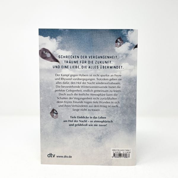 Produktbild: Das Reich der sieben H&ouml;fe &ndash; Frost und Mondlicht