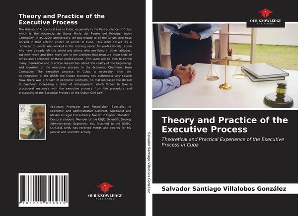 Produktbild: Theory and Practice of the Executive Process