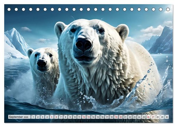 Produktbild: Im magischen Land der Eisb&auml;ren (Tischkalender 2026 DIN A5 quer), CALVENDO Monatskalender