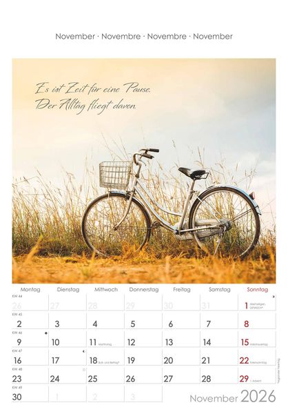 Auszeit für die Seele 2026 - Bildkalender 23,7x34 cm - Kalender mit Platz für Notizen - mit vielen Zusatzinformationen - Wandkalender - Alpha Edition