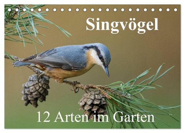 Produktbild: Singv&ouml;gel - 12 Arten im Garten (Tischkalender 2026 DIN A5 quer), CALVENDO Monatskalender