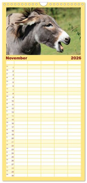 Produktbild: Familienplaner 2026 - Esel - h&uuml;bsch, klug und flei&szlig;ig mit 5 Spalten (Wandkalender, 21 x 45 cm) CALVENDO