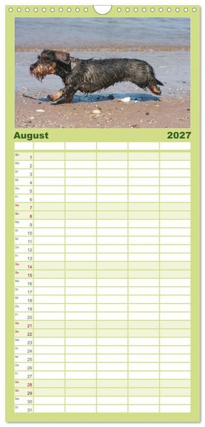 Produktbild: Familienplaner 2027 - Liebenswerte Rabauken - Rauhaardackel mit 5 Spalten (Wandkalender, 21 x 45 cm) CALVENDO