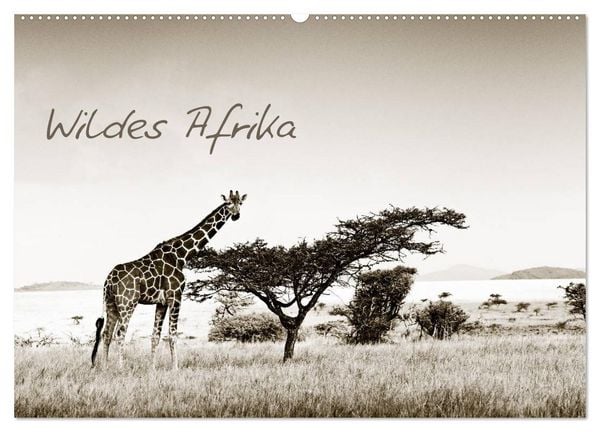 Produktbild: Wildes Afrika (Wandkalender 2026 DIN A2 quer), CALVENDO Monatskalender