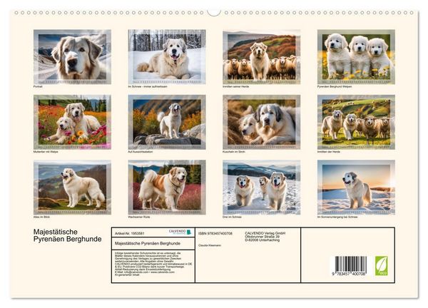 Produktbild: Majest&auml;tische Pyren&auml;en Berghunde (hochwertiger Premium Wandkalender 2026 DIN A2 quer), Kunstdruck in Hochglanz
