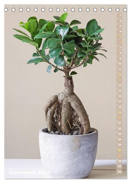 Produktbild: Bonsai: Gartenkunst im Kleinen (Tischkalender 2026 DIN A5 hoch), CALVENDO Monatskalender