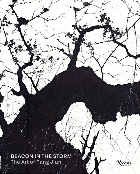 Produktbild: Beacon in the Storm