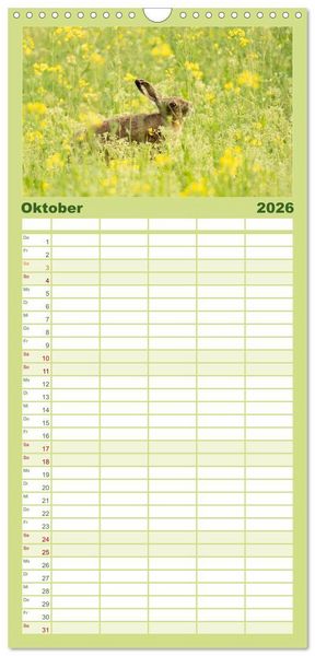 Produktbild: Familienplaner 2026 - Feldhasen unterwegs in Wald und Flur mit 5 Spalten (Wandkalender, 21 x 45 cm) CALVENDO