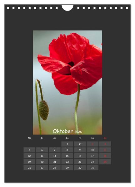 Produktbild: Mohn (Wandkalender 2026 DIN A4 hoch), CALVENDO Monatskalender