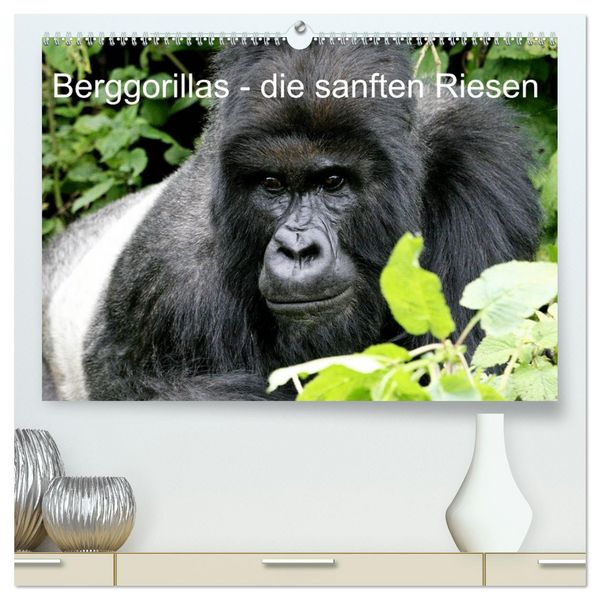 Produktbild: Berggorillas - die sanften Riesen (hochwertiger Premium Wandkalender 2026 DIN A2 quer), Kunstdruck in Hochglanz