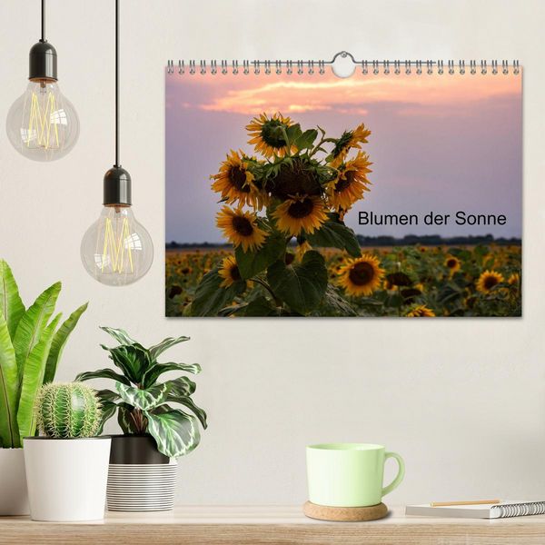 Produktbild: Blumen der Sonne (Wandkalender 2026 DIN A4 quer), CALVENDO Monatskalender