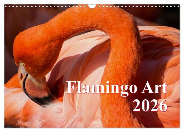 Produktbild: Flamingo Art 2026 (Wandkalender 2026 DIN A3 quer), CALVENDO Monatskalender