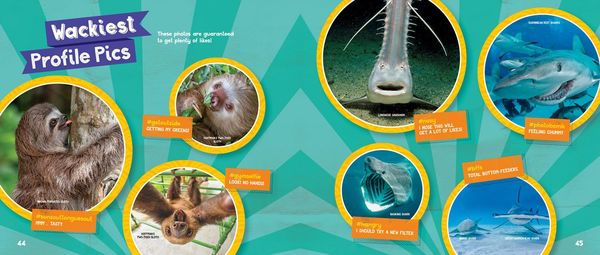 Produktbild: Sharks vs. Sloths