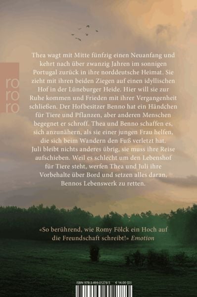 Produktbild: Das Licht in den Birken