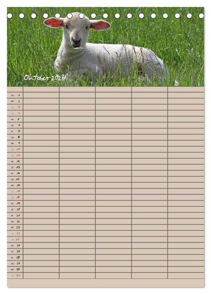 Produktbild: Der bel&auml;mmerte Familienplaner (Tischkalender 2026 DIN A5 hoch), CALVENDO Monatskalender