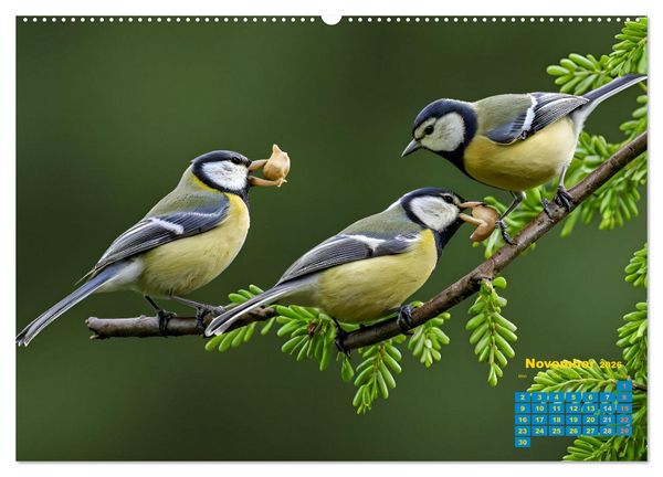 Produktbild: Singers from our regions - Our intimate nature (Wall Calendar 2026 DIN A2 landscape), CALVENDO 12 Month Wall Calendar