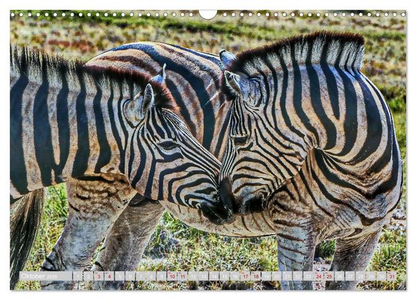 Produktbild: Namibia &ndash; Die Tierwelt vom Caprivi bis Etosha (Wandkalender 2026 DIN A3 quer), CALVENDO Monatskalender