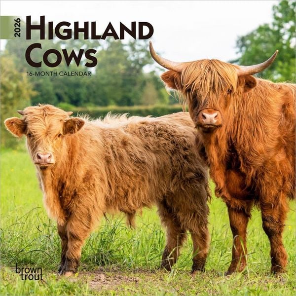 Produktbild: Highland Cows 2026 7 X 14 Inch (Hanging) Monthly Mini Wall Calendar
