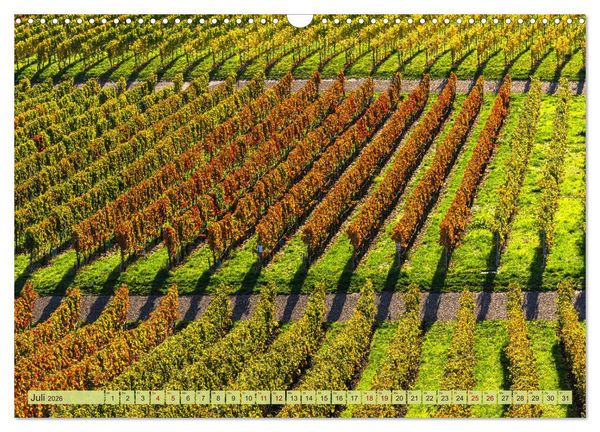 Produktbild: Farbenpr&auml;chtige Weinberge (Wandkalender 2026 DIN A3 quer), CALVENDO Monatskalender