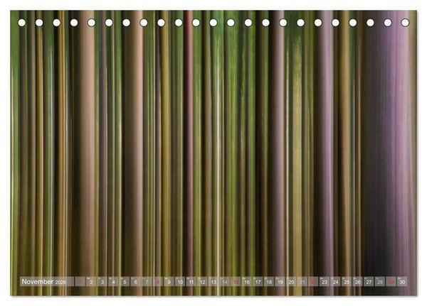 Produktbild: Atelier Wald - gemalt mit Licht (Tischkalender 2026 DIN A5 quer), CALVENDO Monatskalender