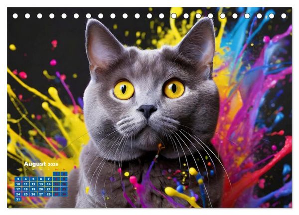 Produktbild: Splash - Katzen im Farbrausch (Tischkalender 2026 DIN A5 quer), CALVENDO Monatskalender