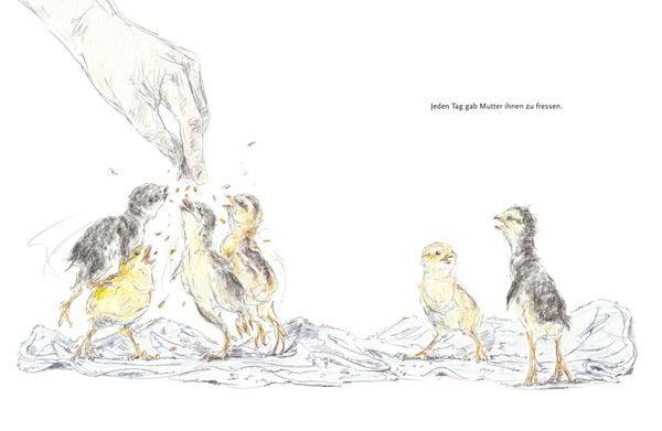 Produktbild: Chick